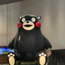 펭수마트 | [일본|구마모토 3박4일] 대가족 여행기, 시댁식구들과 첫 해외여행 찐행복 찐힐링 기록 ✈️🇯🇵❤️