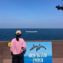 서쪽 하늘아래 반짝이는 효성마을 | 3월 제주도 가볼만한곳 애월돌고래전망대 주차 및 낮 방문 솔직 후기