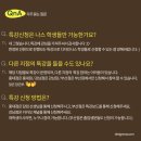 디자인나스