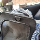 반려동물 이동서비스 | 🐾 반려동물 이동 서비스 이용 후기 (송파 → 강동)