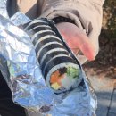 원터2길 4 | 대중교통 청계산 초보 등산코스 매봉 후기