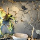 평리 작은도서관 | 대구 욕실 타일, 평리푸르지오 2단지 리모델링