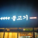 서서자는물고기 이미지