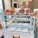 너에게 마카롱 운정점 이미지