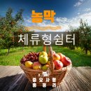 리도자동차정비 이미지