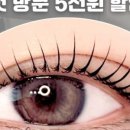 유어라인 이미지