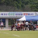 진도공설운동장 이미지