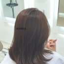 건니크 이미지