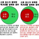 효소 이미지