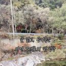 또올래캠핑장 이미지