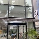더피올라 이미지