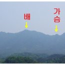 수포대 화장실 Daum카페