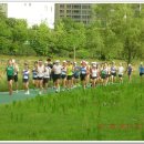 분당-324 이미지