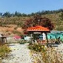 갈망개 민박 이미지