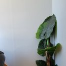 제주스타공인중개사사무소 이미지