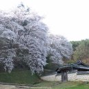 남반고택 이미지
