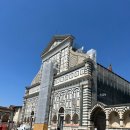 하늘보리피자 수월점 | 피렌체 중앙역 근처 피자 전문점 ‘Giotto Pizzeria Firenze'솔직후기, 피렌체 한식맛집 '도시락’