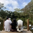 스누피 애견 | 제주 동쪽 가볼만한곳 스누피가든 애견동반 포토존 기념품