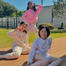 다나에스 이미지