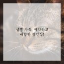 행복헤어 이미지