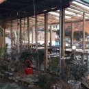 전망 좋은집 민박 이미지