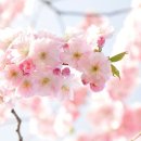 우리들가족의원 이미지