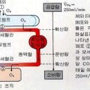 호흡과명상 이미지