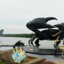 타라파크