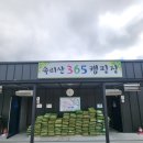 속리산365캠핑장 이미지