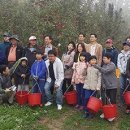 내포긴들체험마을 네이버블로그