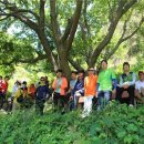 천주산 누리길 이미지