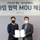 웰빙홀릭
