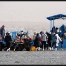 하전어촌체험마을 이미지