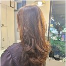 엘룩스헤어 | 엘룩스 부천점에서 애쉬베이지 컬러로 분위기 전환한 후기