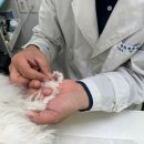 호수동물병원 | 서산호수공원동물병원 답21동물병원 방문 후기