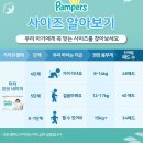 [팸퍼스 체험단] 팸퍼스 &#34;2025 터치 오브 네이처 팬티&#34; 솔직 후기