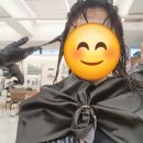 로아플랜