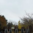 로담 | 김해 대동 데이트하기 좋은 고기집 로담 다녀온 후기