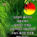 도무지 Daum카페