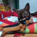 Fun it(펀잇) 이미지