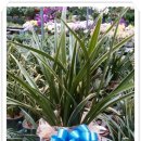 남중동-03 이미지