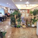 대구 수성구 시지 정갈한 맛집 채담은 한정식 후기