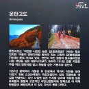 ◈제129차 강원도 .정선&운탄고도&하늘길&눈산행 트레킹◈ 이미지