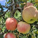 양지복지센터 이미지