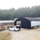 민원농장 이미지