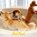 겟풀(GETPOOL) 네이버블로그