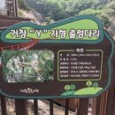 삼성여행사 이미지