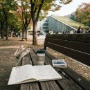 삼성영어이화점 | 이화여자대학교 인공지능데이터사이언스학부 이화여대 인공지능데이터사이언스학부 합격하려면 이렇게...