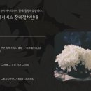 천연장례서비스