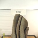 석향 이미지